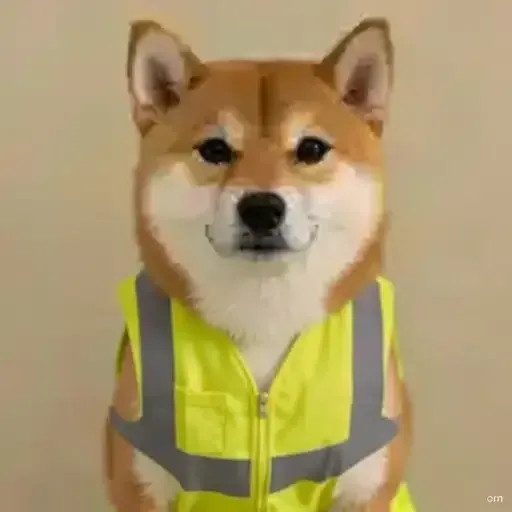 Dog in vest logo
